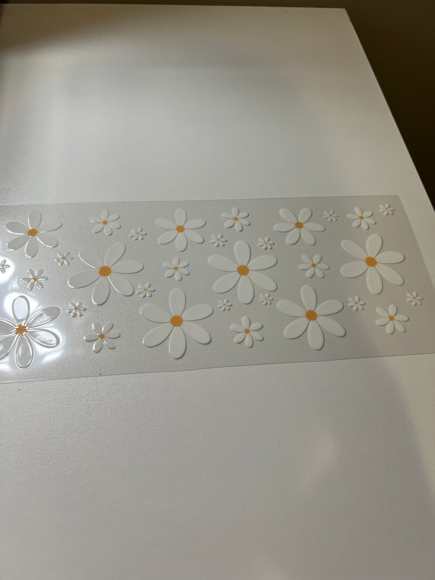 Daisy